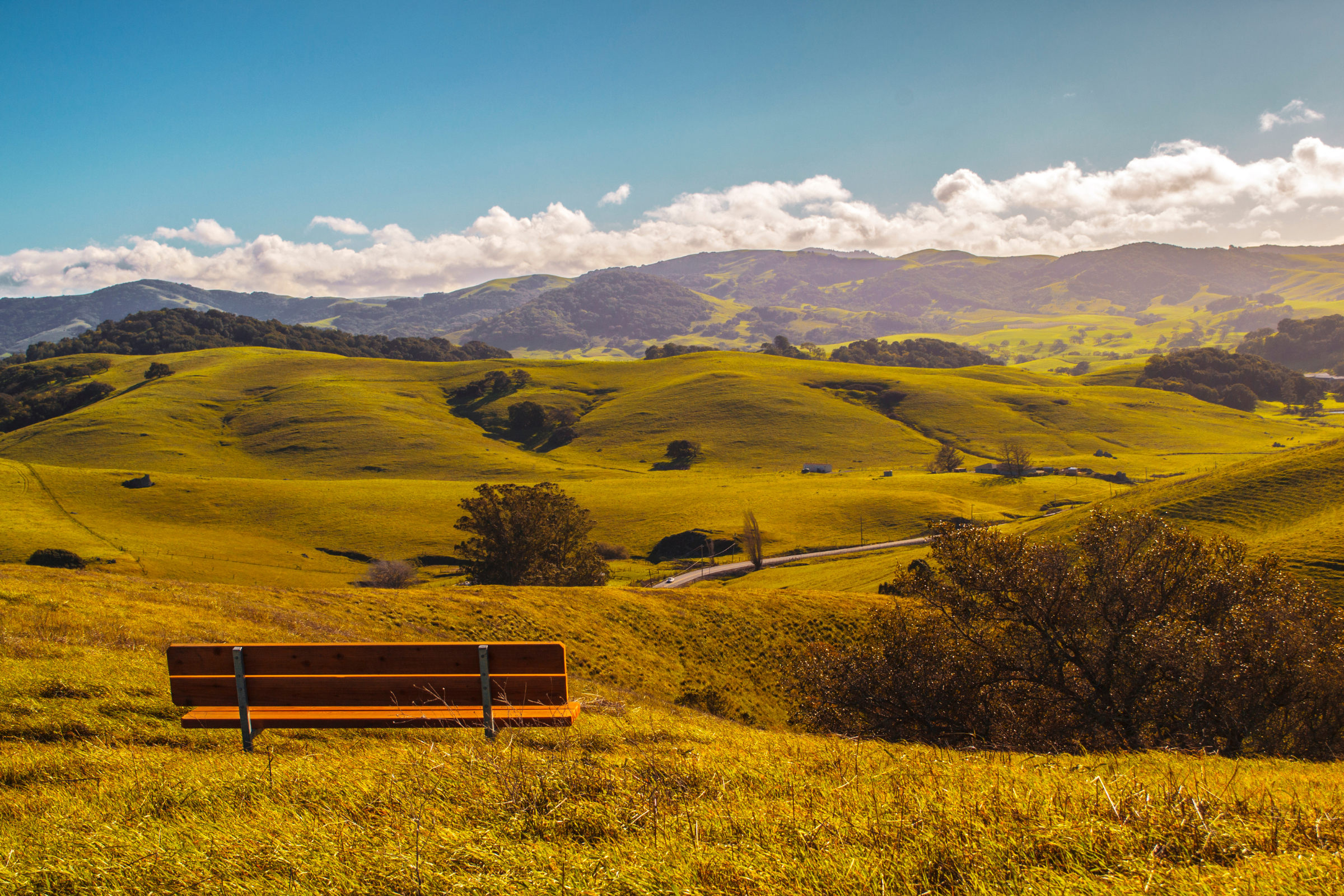 sonoma, california (2).webp
